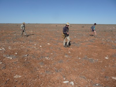 DFN team searching for meteorites